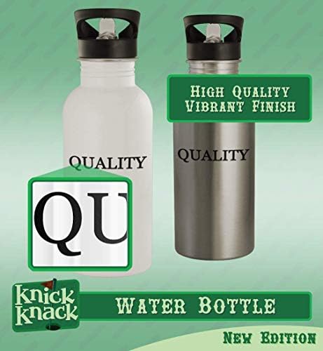 Knick Knack pokloni VamBrace - boca vode od nehrđajućeg čelika od 20oz, srebro