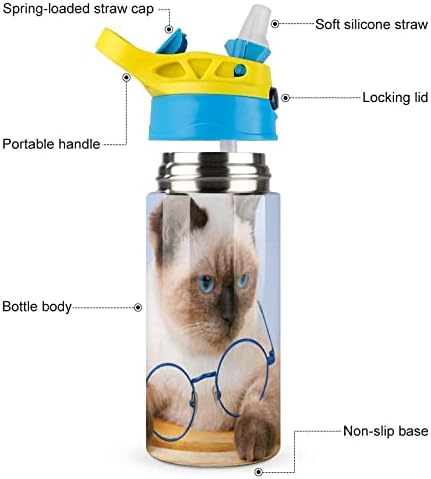 Boca s vodom sa slamom Slatka mačka izolirana od nehrđajućeg čelika vakuum šalica 500 ml za školu 7,5x2,7 u