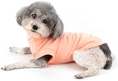 Ranphy Dog prsluk za male pseće štene Majice majice majice za tinejdžerske majice meke i brzo suho hlađenje za kućne ljubimce kostim