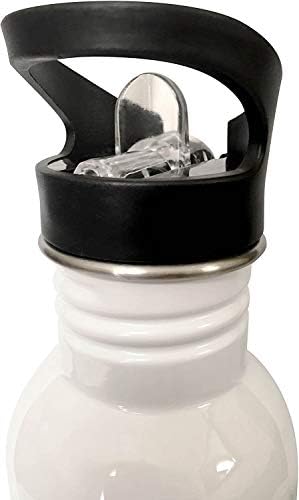 3Drose marileahs slučajni retro dizajni - slika citata sjaja - boce s vodom