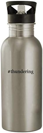 Knick Knack Pokloni Thering - boca vode od nehrđajućeg čelika od 20oz, srebro