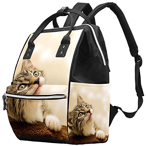 Mačka mala mačka domaća mačka kućnih ljubimaca torbe za torbe mačka mama mama ruksak veliki kapacitet pelena vrećica za njegu putničke