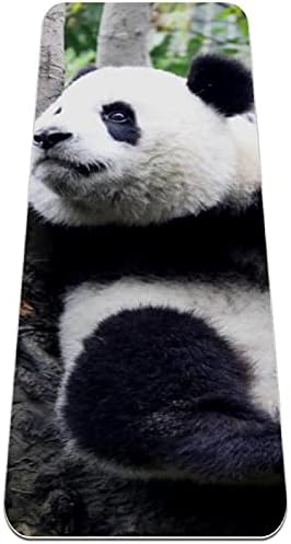 Slatka Panda za penjanje stablom Extra debela joga prostirka - ekološki prihvatljiva ne klizna vježba i fitness mat za vježbanje za
